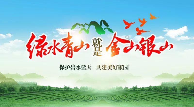 植物大战僵尸17